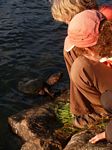 Hello Mr. Turtle

